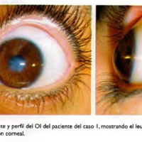 03_04_04_Galletti_fig_2.jpg