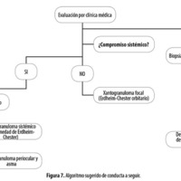 10.1_03_Levaggi_fig_7.jpg