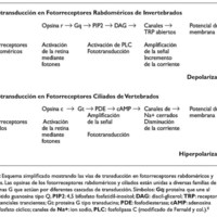 02_01_05_Guido_fig_1.jpg