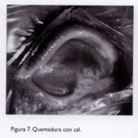 04_02_04_Chiaradia_fig_7.jpg