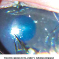 OCE 10.2.4_Ovejero_fig6.jpg