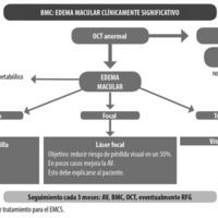 Figura 5. Esquema de tratamiento para el EMCS.