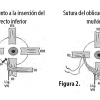 OCE_07_01_03_Laizerowitch_fig_1_2.jpg