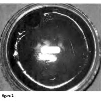 03_01_07_Palavecino_fig_2.jpg