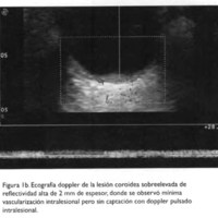 02_04_03_Gentile_fig_1b.jpg