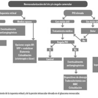 Figura 9. Tratamiento de la isquemia retinal y de la presión intraocular elevada en el glaucoma neovascular.