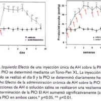 Figura 1. Izquierda: Efecto de una inyección única de AH sobre la PIO en ratas. La PIO se determinó mediante un Tono-Pen XL. La inyección de AH o vehículo se realizó el día 0 y la PIO se determinó diariamente hasta el día<br />
9. Derecha: Efecto de la administración crónica de AH sobre la PIO en ratas. Las inyecciones de AH o solución salina se realizaron una vez/semana luego de la determinación de la PIO. El AH aumentó significativamente (a casi el doble) la PIO en ambos casos.* p<0.05,** p<0.01.